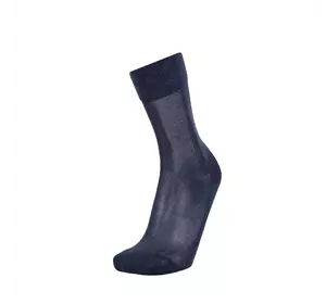 Шкарпетки чоловічі демісезонні бавовняні ACCENT 0004  39-41  Світло-сірий  (0 0004 331 3941)
